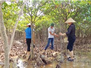 Hệ sinh thái đất ngập nước: Nâng cao giá trị sử dụng gián tiếp